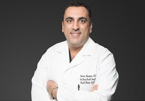 Dr. Aminpour